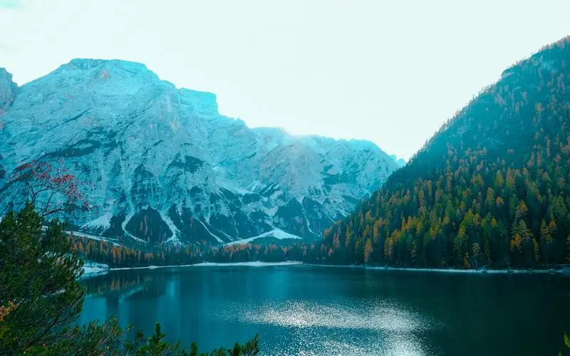 高端高标准创意